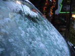 IMG_3728.jpg