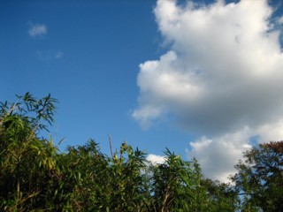 IMG_3733.jpg