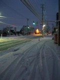 IMG_3919.jpg