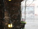 IMG_3938.jpg