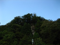 IMG_4960.jpg