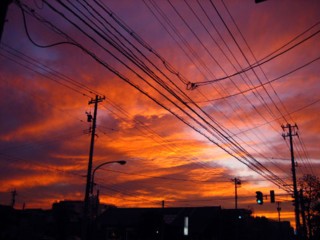 IMG_5091.jpg