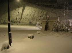 IMG_5106.jpg