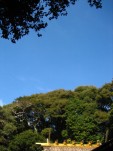 IMG_5148.jpg