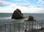 IMG_5150.jpg