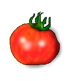 tomato.jpg