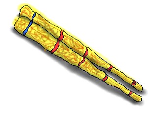 090811.jpg