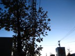 IMG_5165.jpg