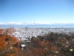 IMG_5200.jpg
