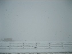 IMG_5326.jpg