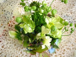 IMG_5357.jpg
