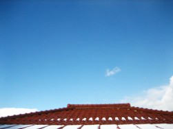 IMG_5415.jpg