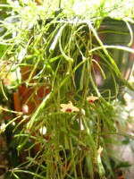 IMG_5466.jpg