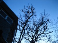 IMG_5479.jpg