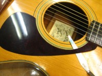 IMG_5481.jpg