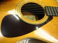 IMG_5482.jpg