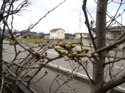 IMG_5556.jpg