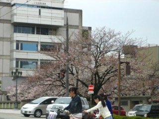 IMG_5584.jpg