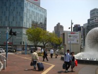 IMG_5600.jpg