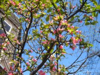 IMG_5610.jpg
