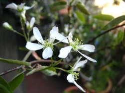 IMG_5613.jpg