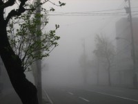 IMG_5655.jpg