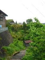 IMG_5737.jpg