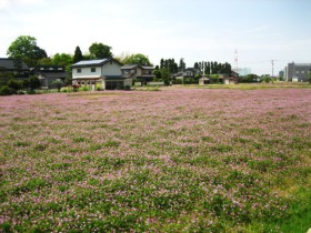 IMG_5741.jpg