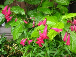 IMG_5805.jpg