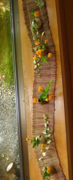 IMG_5815.jpg
