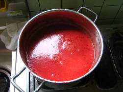 IMG_5834.JPG