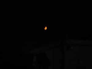 IMG_5899.JPG