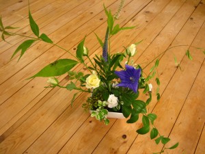 IMG_5914.JPG
