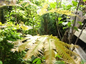 IMG_5918.JPG