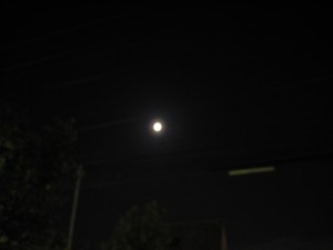 IMG_6255.JPG