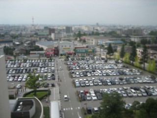 IMG_6256.jpg