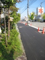 IMG_6445.JPG