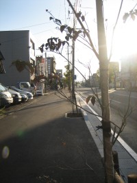 IMG_6504.JPG