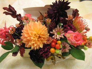 IMG_6523.JPG