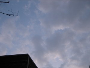IMG_6537.JPG
