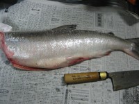 IMG_6546.JPG