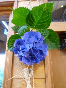 p1010244