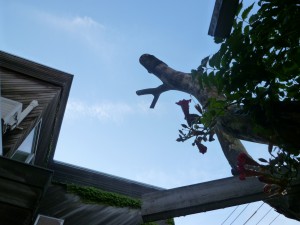 p1010257