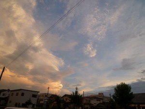 p1010261