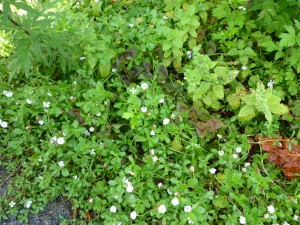 p1010291