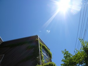 p1010519