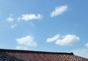 p1010729-800x556