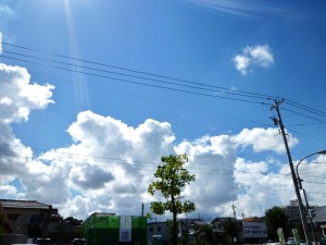 p1010778-800x600