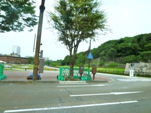 p1010783-800x600