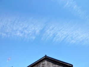 p1010881-800x600